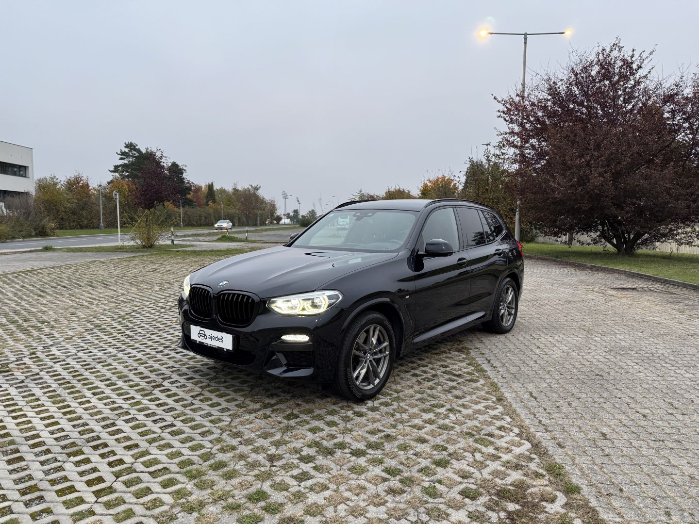 BMW X3 xDrive30d  image 1